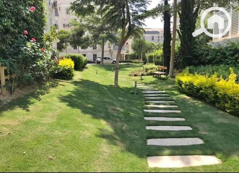 7 464308720_1104223647929056_7725228379200826026_n. jpg