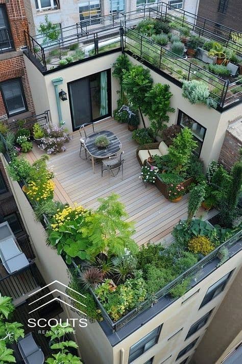 10 bc655c437550822083a103eed9eef588. jpg