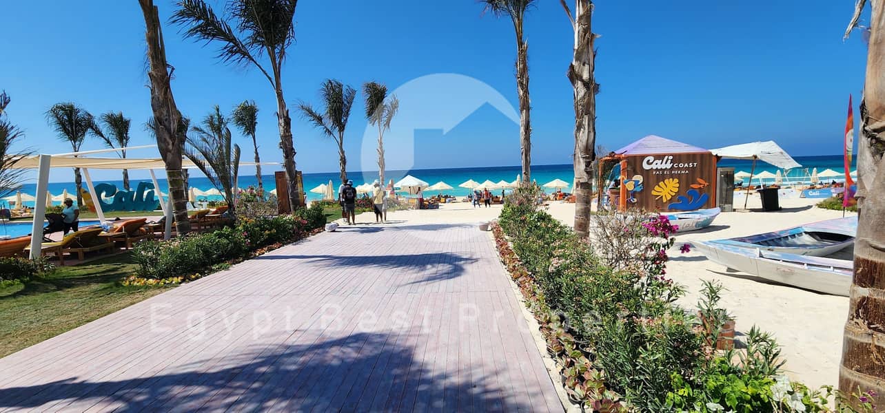 4 496085740_696554176357108_4589217663619087354_n. jpg