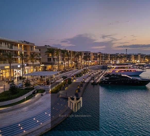 5 WhatsApp Image 2026-01-20 at 5.13. 34 PM (3). jpeg