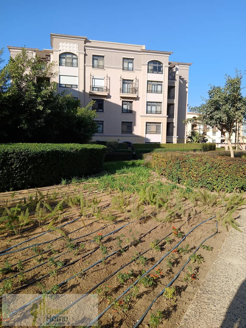 8 20260107_144654. jpg