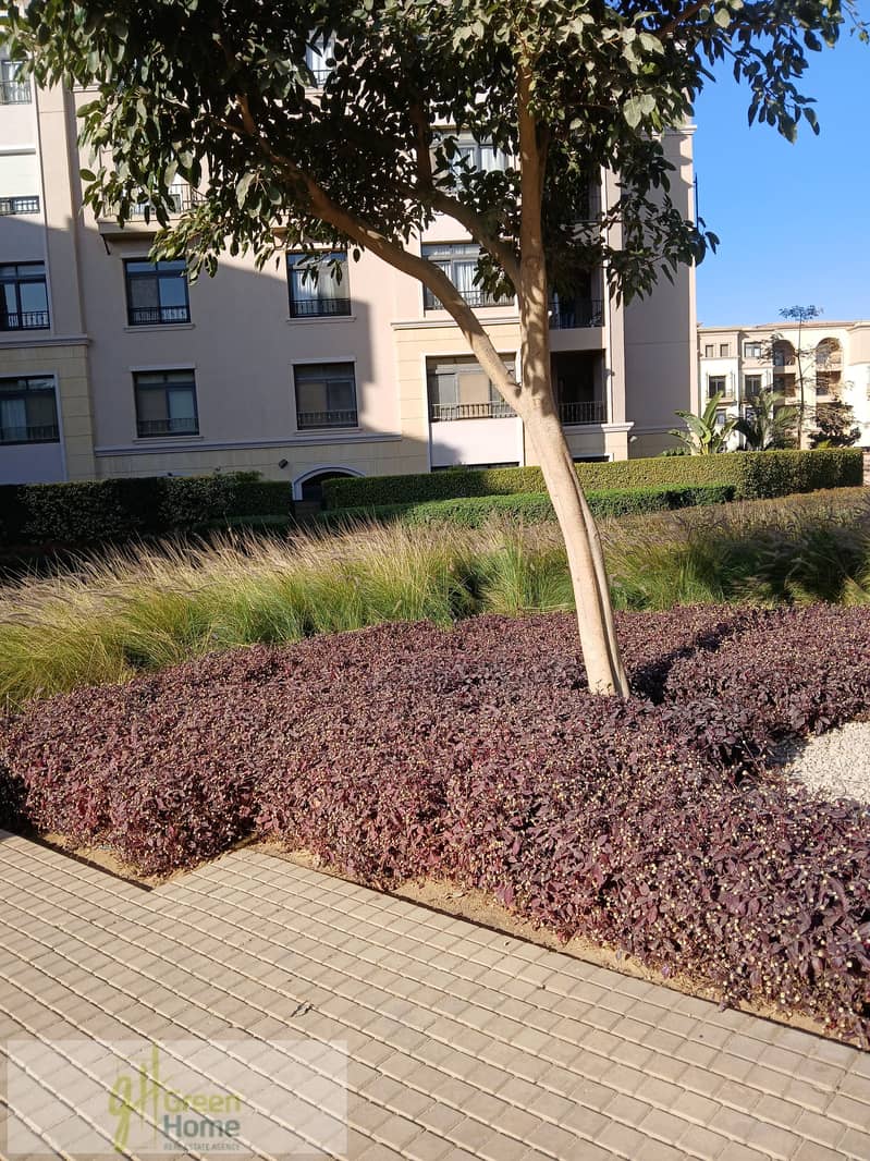 10 20260107_144710. jpg