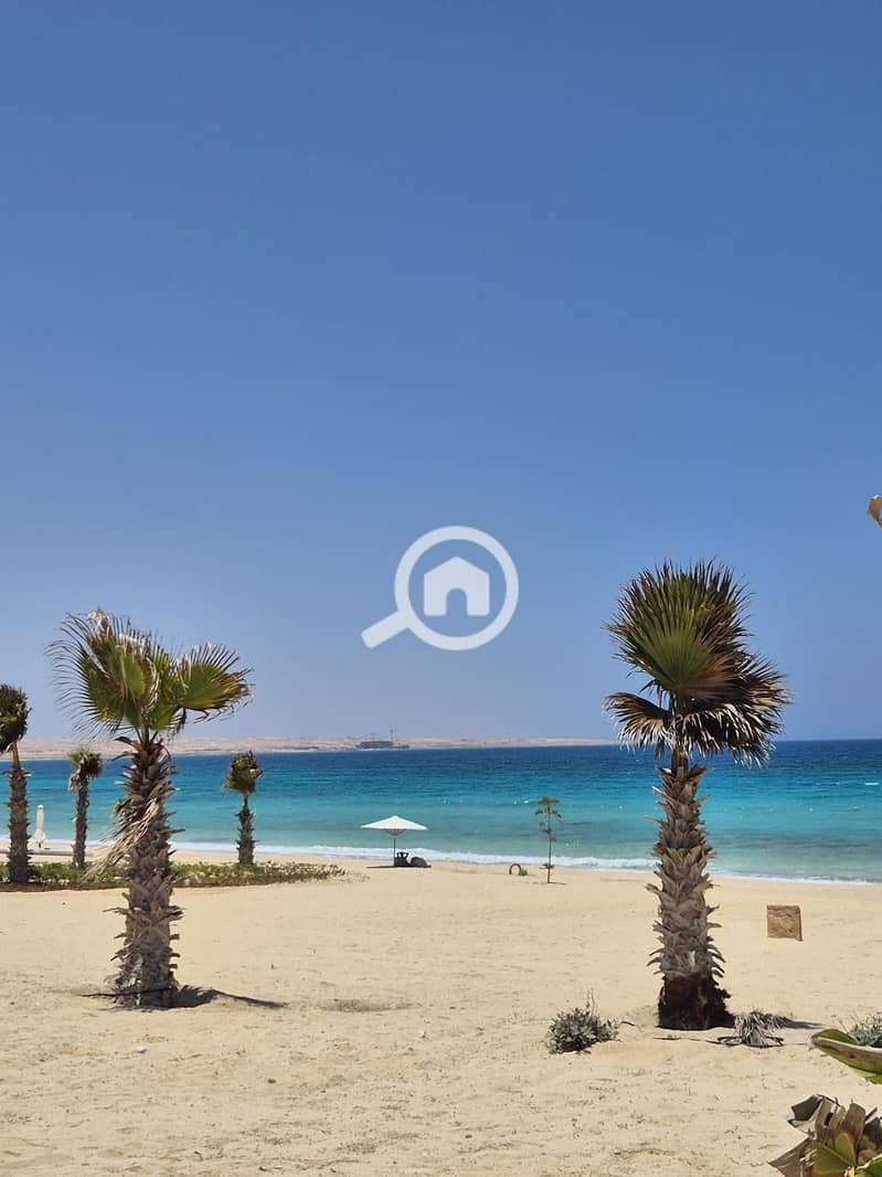 9 2d88665e-d694-4dfb-a853-66790b9360dc. jpeg