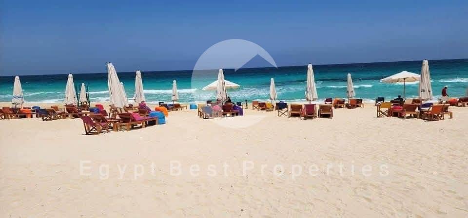 8 549790414_1544060056968683_5417421219487738350_n. jpg