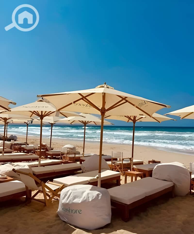 8 498020691_122237343998020921_199486195388739623_n. jpg