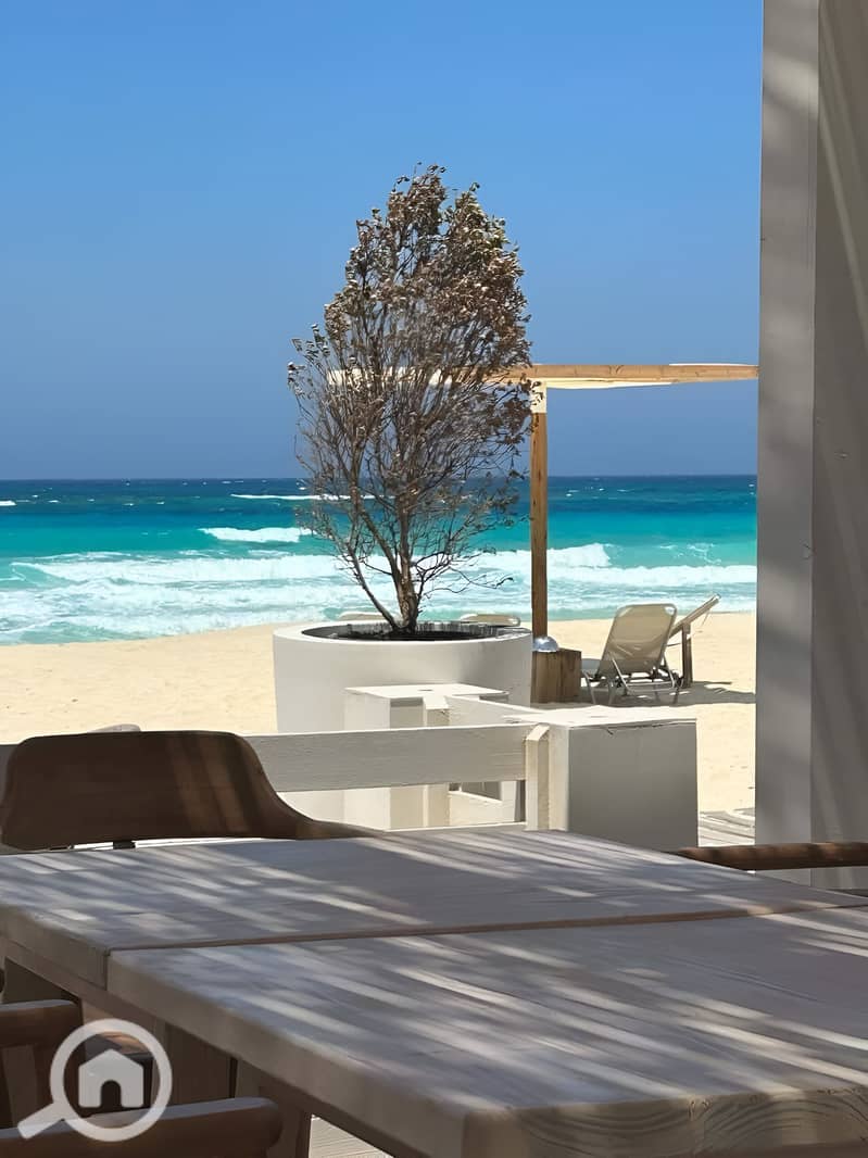 9 498218246_1774632346802601_3072294016464495291_n. jpg