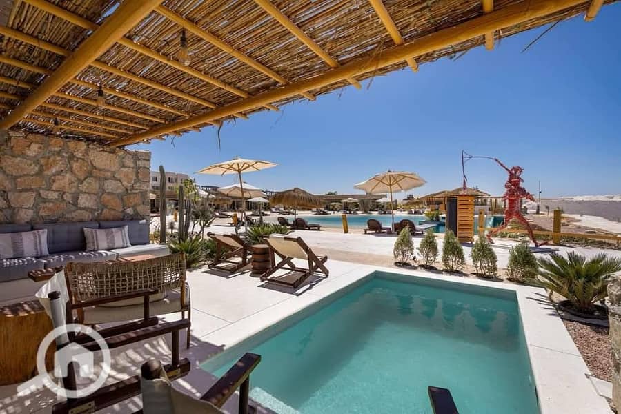 6 494351521_122255298092224889_5209280124207264018_n. jpg