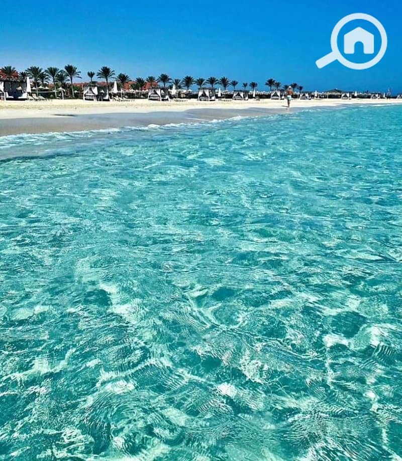 4 WhatsApp Image 2026-01-22 at 1.26. 06 PM (3). jpeg