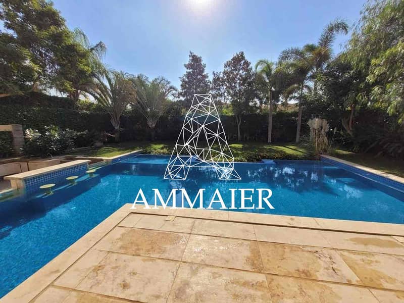 4 d79de2d8-ae3b-461c-8e53-7bf36ad4c321. jpg