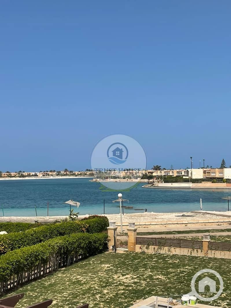 19 WhatsApp Image 2026-01-21 at 19.56. 24. jpeg