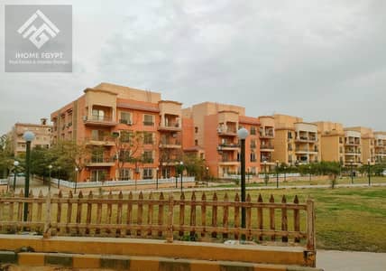 3 Bedroom Apartment for Sale in Sheikh Zayed, Giza - WhatsApp Image 2026-01-22 at 1.29. 12 PM (1). jpeg 3 Bedroom Apartment for Sale in Sheikh Zayed, Giza - WhatsApp Image 2026-01-22 at 1.29. 12 PM (1). jpeg