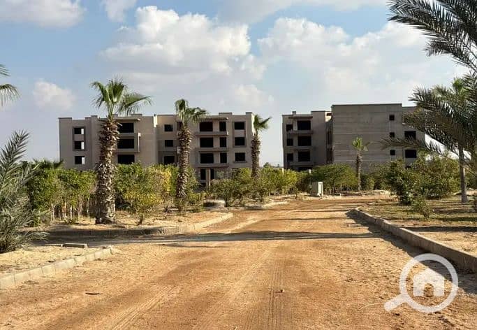 10 WhatsApp Image 2025-12-24 at 3.04. 26 PM (4). jpeg