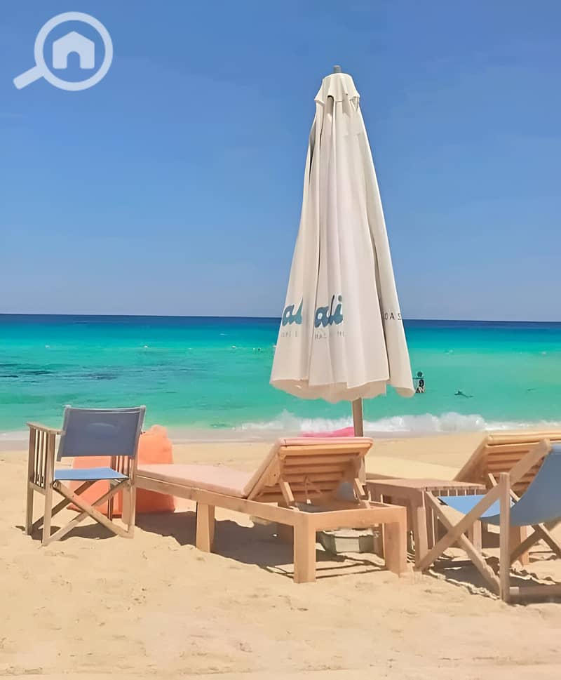 10 499254656_122232552644208532_3801520944439726775_n. jpg