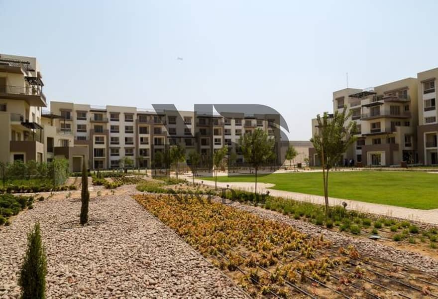 3 397bba38-e5ce-47d2-9d9d-1da8b5a18888. jpg