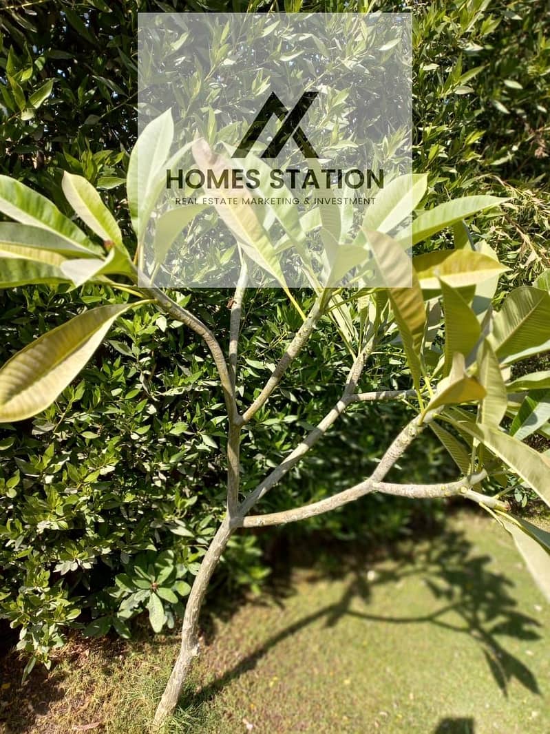 6 WhatsApp Image 2026-01-22 at 03.32. 54. jpeg