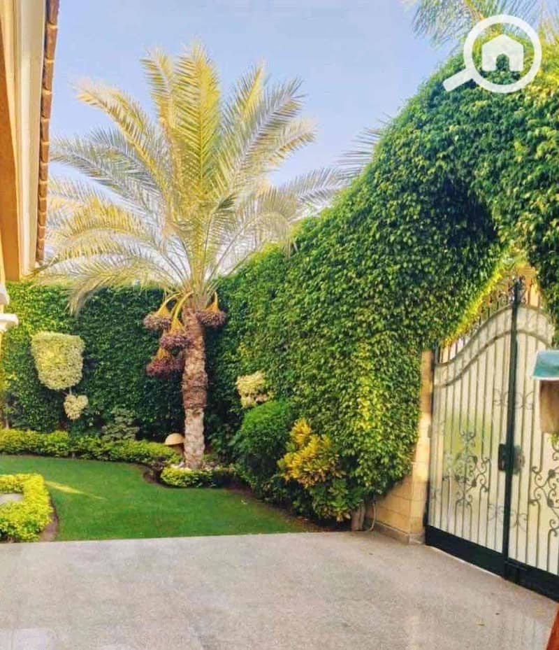 6 8f6e582d-1e5a-4cc1-b3a2-f2be2df738f5. jpg