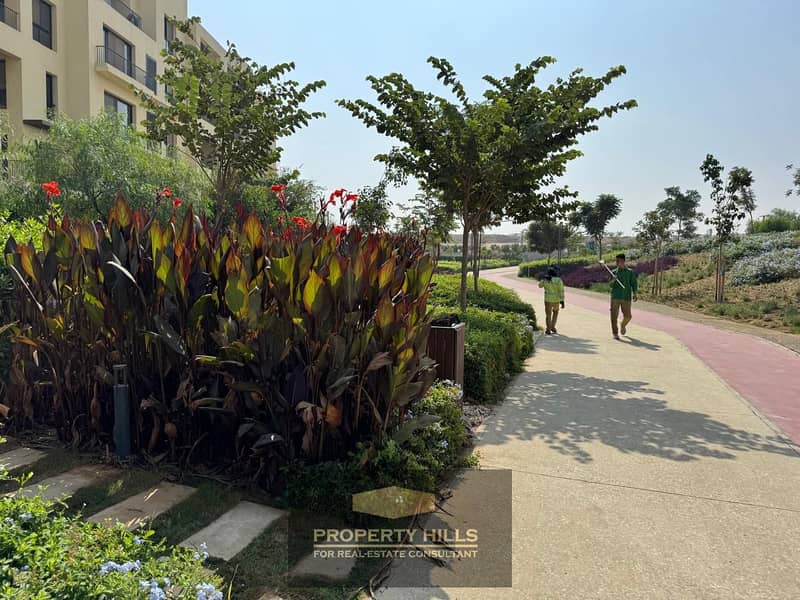 7 WhatsApp Image 2024-10-28 at 11.16. 06 AM. jpeg