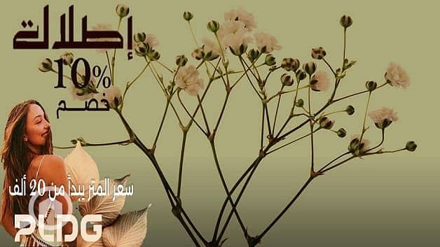 8 c7691084-8e08-4db5-9a1a-509136ab11fe. jpg