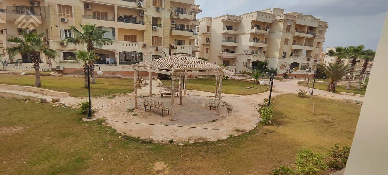 16 WhatsApp Image 2026-01-13 at 2.19. 38 PM. jpeg