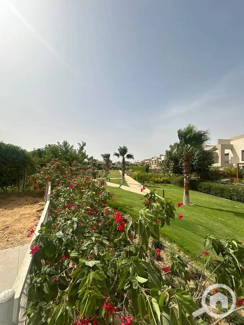 6 FB_IMG_1751471776749. jpg