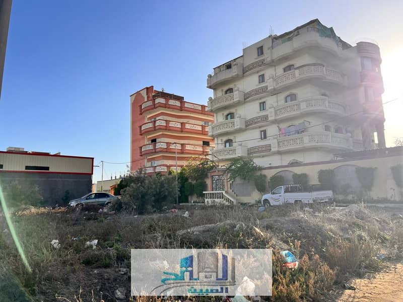 2 WhatsApp Image 2026-01-19 at 12.16. 14 PM (2). jpeg