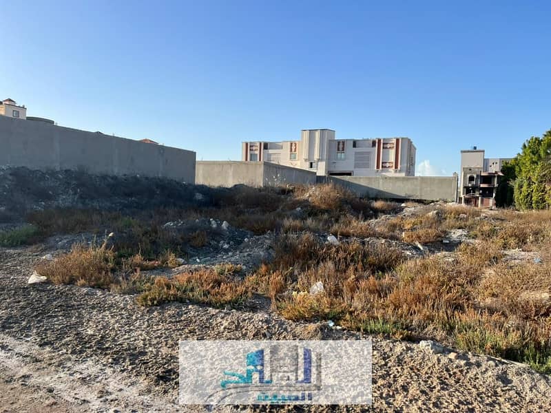 4 WhatsApp Image 2026-01-19 at 12.16. 15 PM (2). jpeg