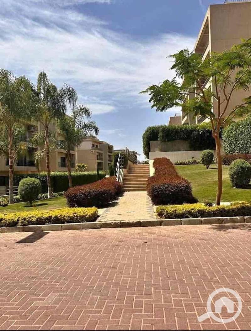 6 52b9e793-17ff-40cf-ab30-7aaa4063ab2c. jpg