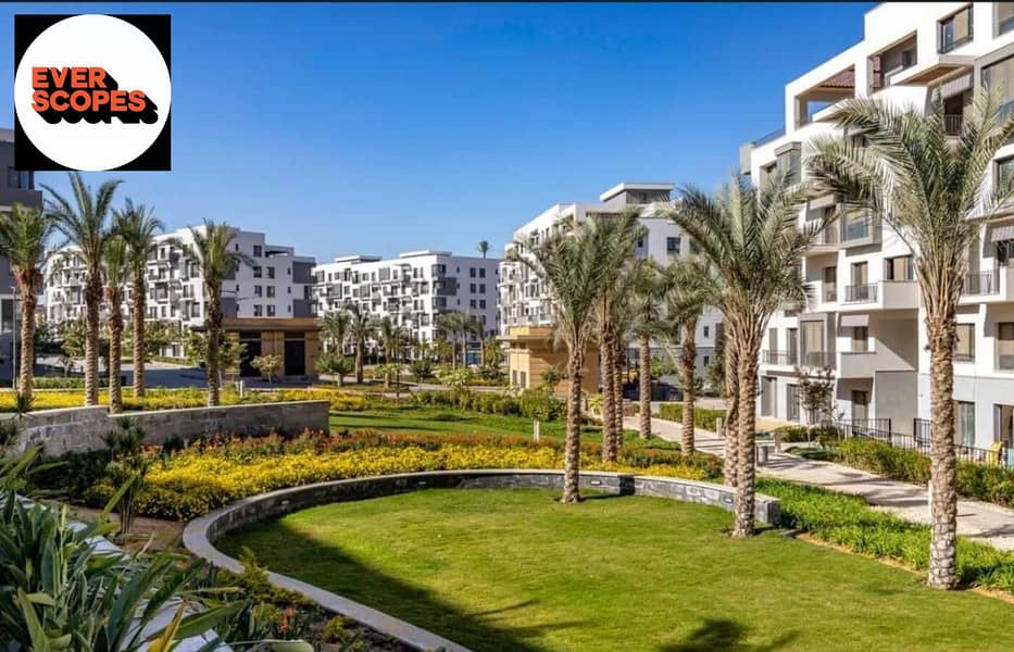 10 438785438_7306165286162061_3464924795751131996_n. jpg