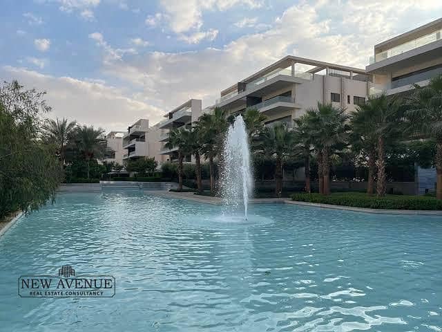 6 WhatsApp Image 2025-08-10 at 11.13. 04 AM (2). jpeg