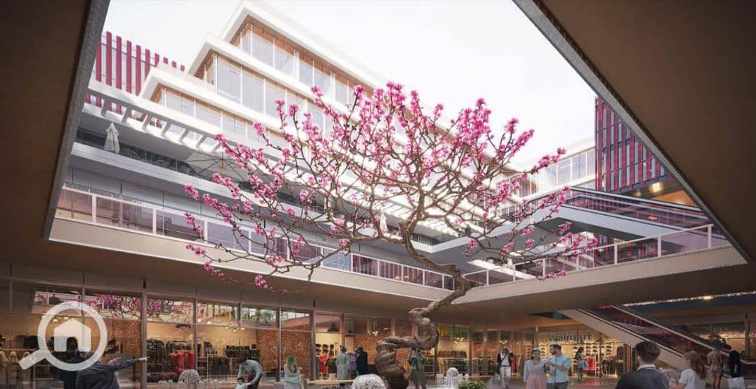 2 WhatsApp Image 2026-01-22 at 2.57. 46 PM. jpeg