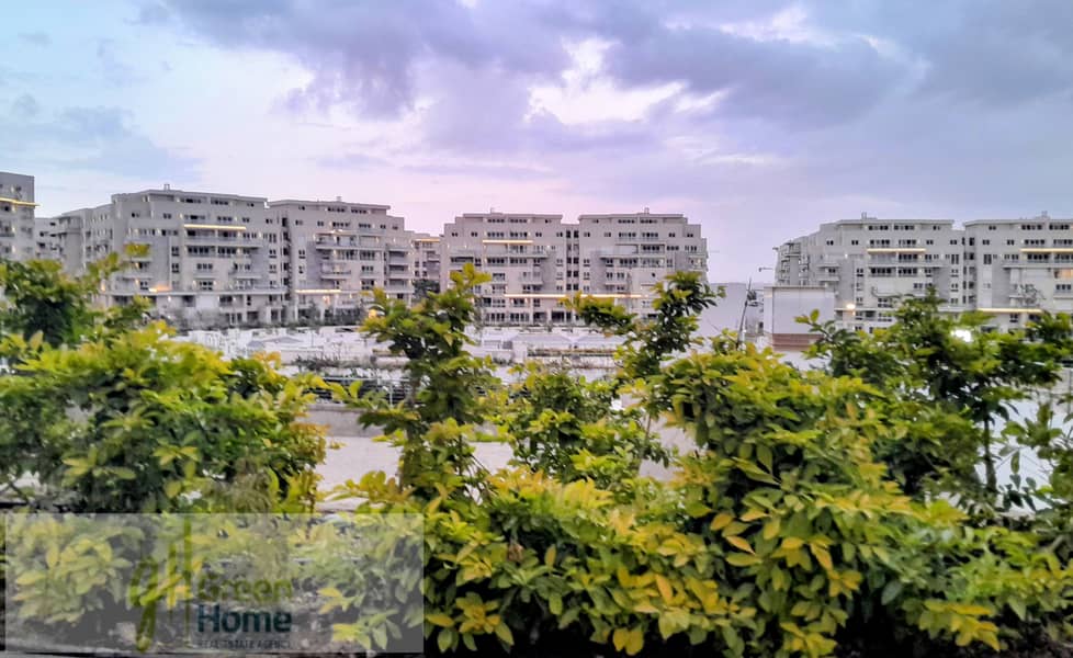 3 IMG-20251230-WA0164~2. jpg