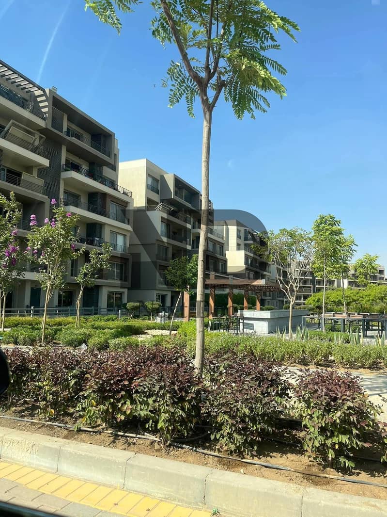 2 574601564_122291939120022208_7844746593969091282_n. jpg