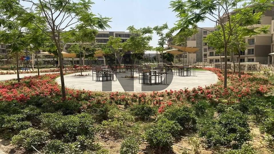 11 605447180_25462785363340996_8454835315835656425_n. jpg