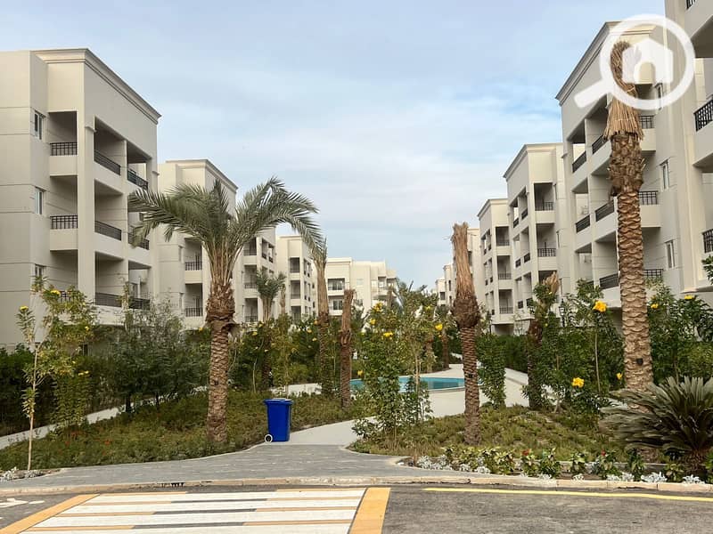 7 9a873363-88eb-4fd9-be03-5e8deec32639. jpg