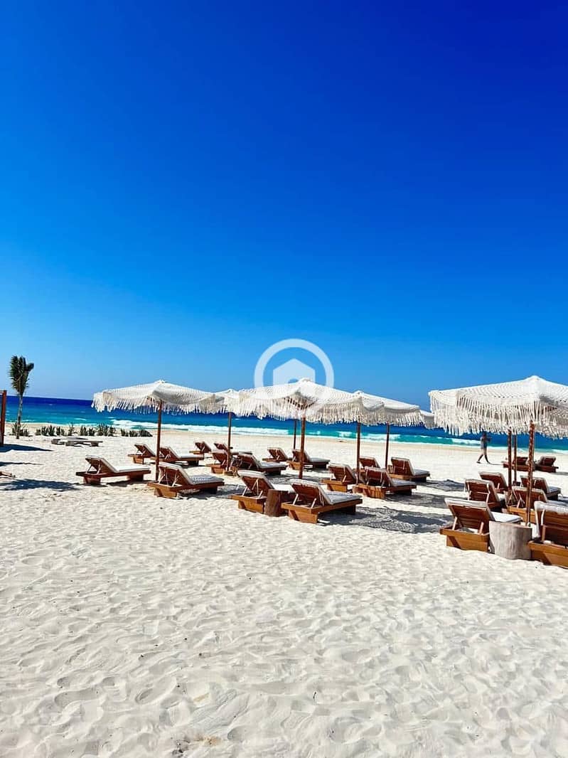 12 WhatsApp Image 2025-07-13 at 21.30. 05_ab3922b7. jpg