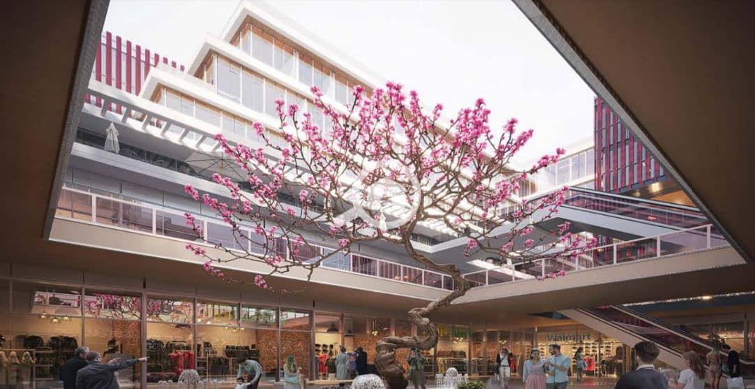 3 WhatsApp Image 2026-01-22 at 2.57. 46 PM. jpeg