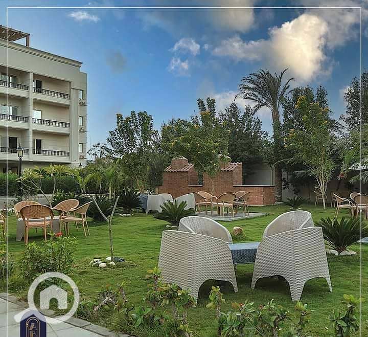 2 8ead7963-aa3f-4aa6-bef2-b76f7e057809. jpg