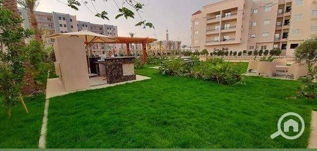 5 dbccfa07-b80a-49e9-8591-b3aabb78d8e1. jpg