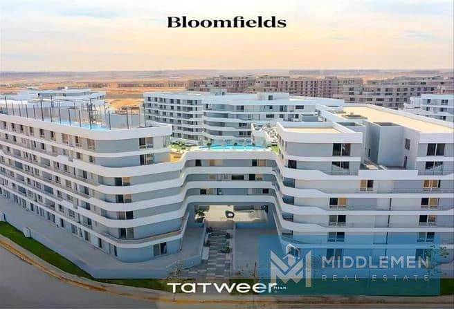 7 IMG-20250821-WA0074. jpg