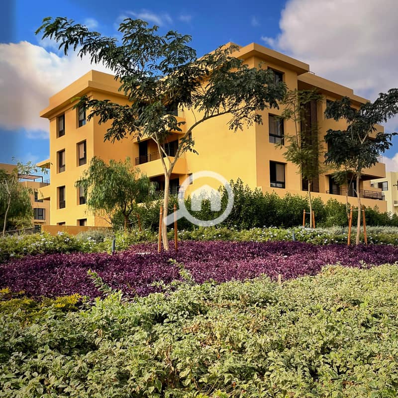 7 IMG-20241211-WA0008. jpg