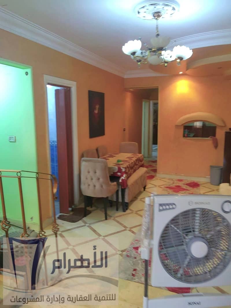 8 460132955_2241739756193238_8660296316483835625_n. jpg