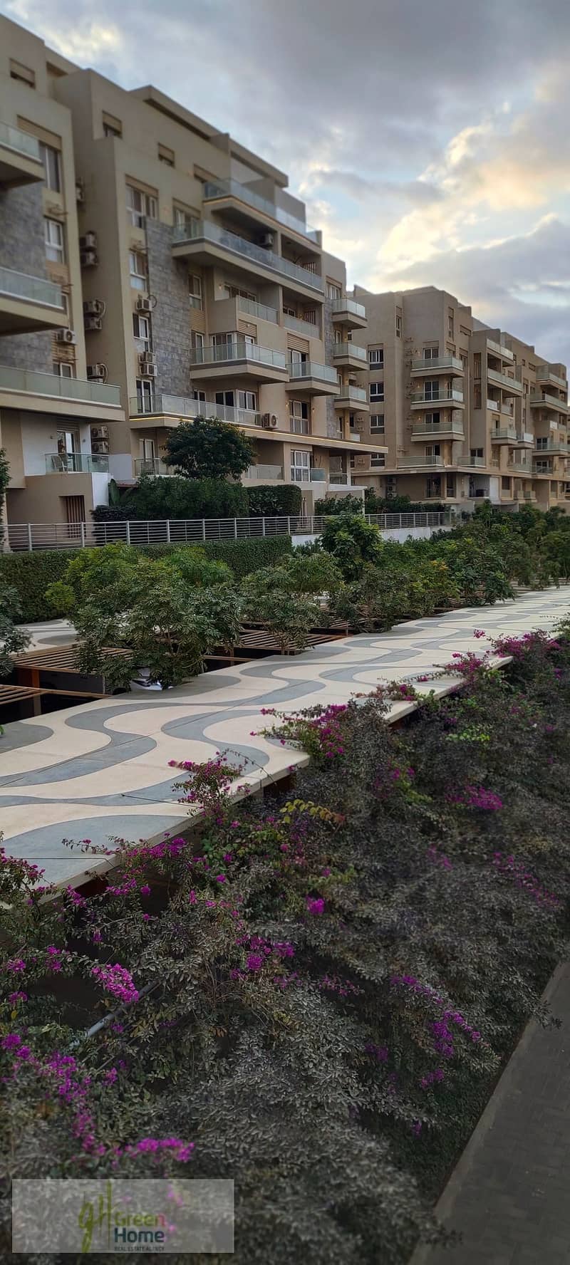 11 IMG_٢٠٢٥١٢٢٩_١٦١٧٤٧. jpg