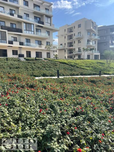 4 Bedroom Penthouse for Sale in New Cairo, Cairo - WhatsApp Image 2025-12-29 at 1.13. 49 PM (1). jpeg