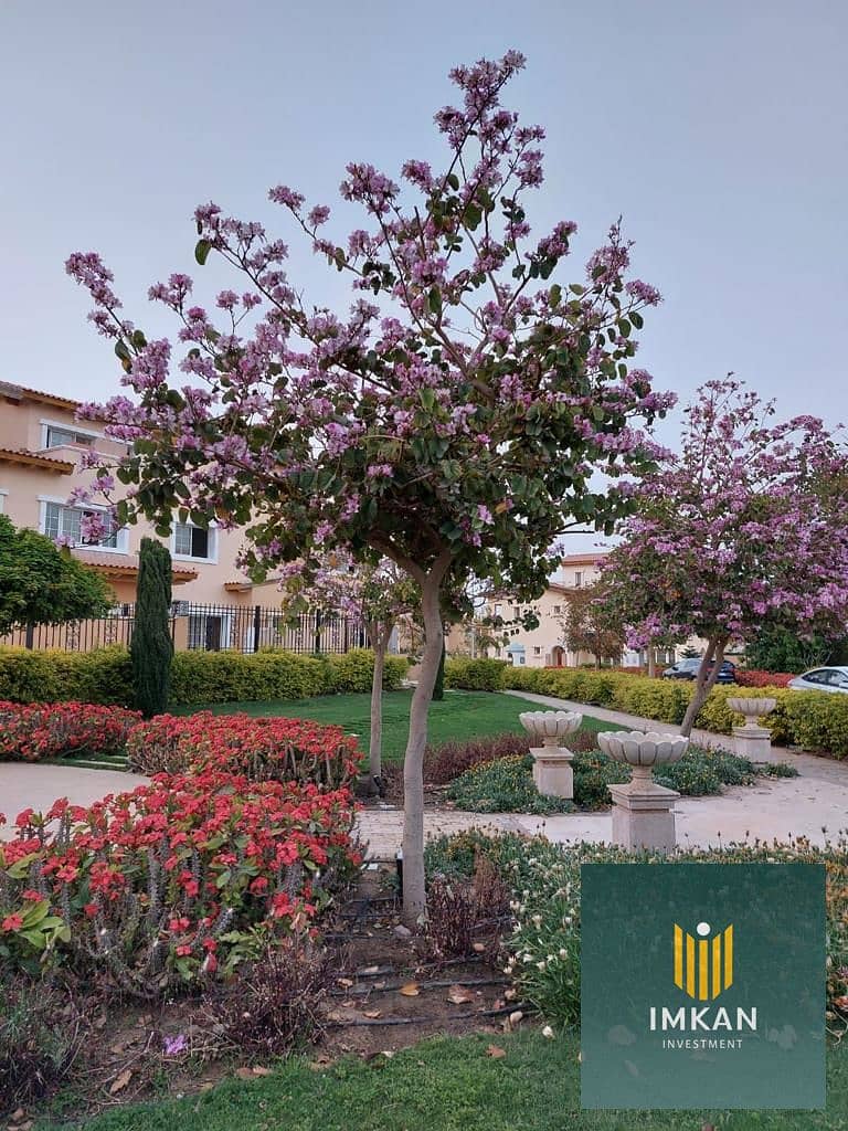 3 WhatsApp Image 2024-11-24 at 3.51. 59 PM (2). jpeg