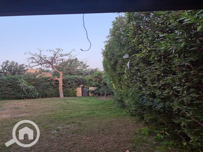 9 16db8c4e-a2fb-4b99-a592-2d8592ffa1de. jpeg