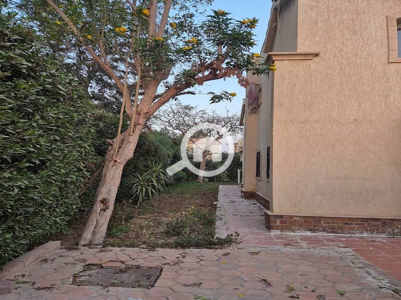 13 53f4b897-1cb6-4271-8e71-7540cbe50824. jpeg