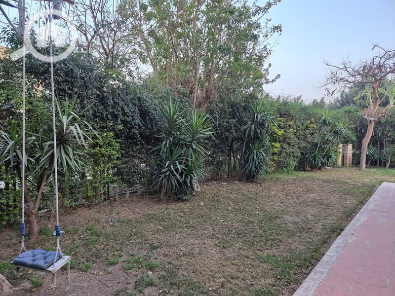 17 1961a673-95b4-4ec1-8ba8-2dcc845ebbb1. jpeg