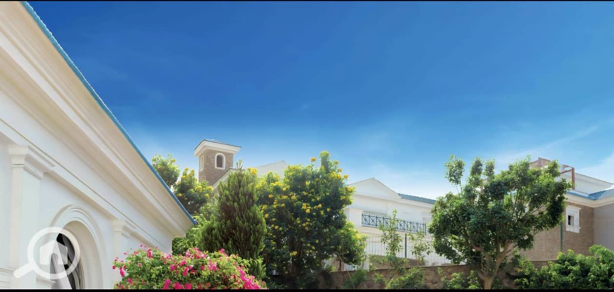 12 photo_1_2026-01-22_15-02-26. jpg