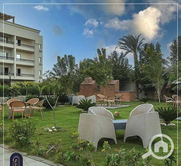 2 8ead7963-aa3f-4aa6-bef2-b76f7e057809. jpg