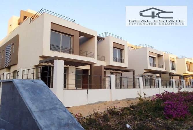 2 3817350-2576bo. jpg